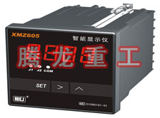 溫度表、數(shù)字顯示儀、濕度表