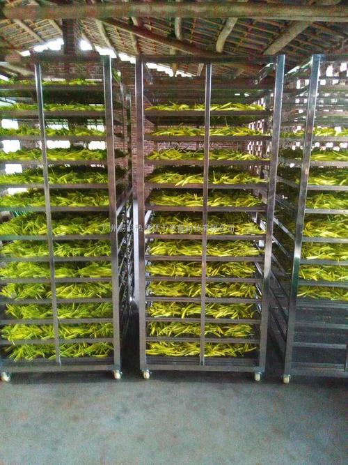 黃花菜烘干機(jī)、黃花菜烘干設(shè)備、黃花菜干燥機(jī)、黃花菜干燥設(shè)備、